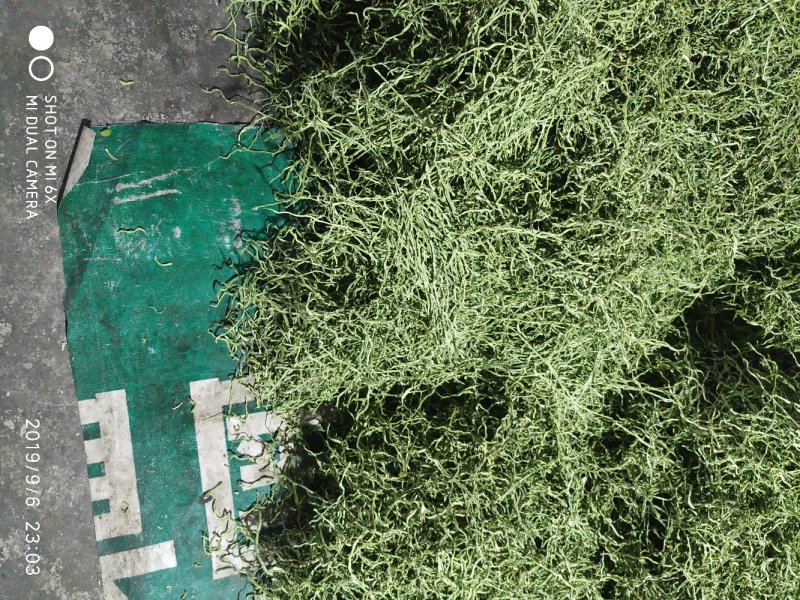 豆角丝架豆王干豆角丝天然日晒15cm以上下