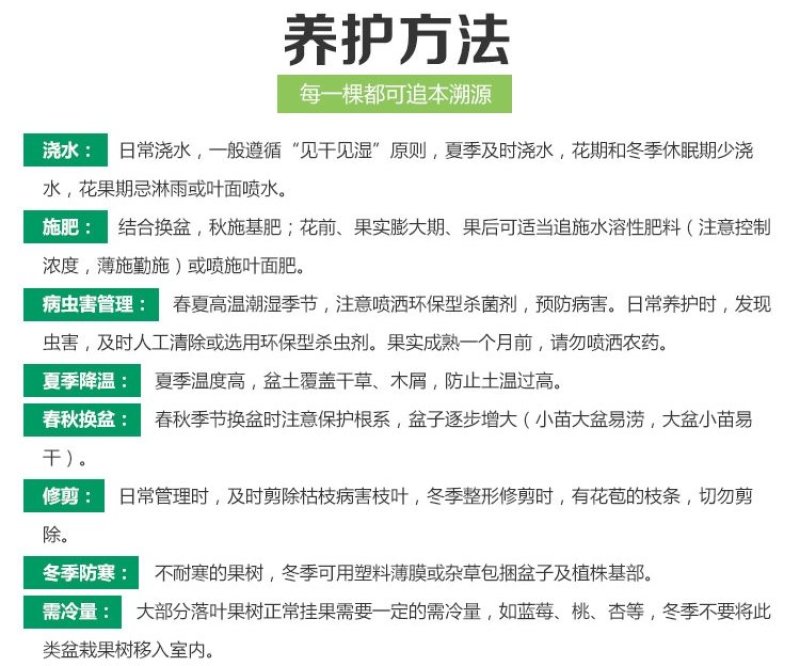 🔥热销【八月瓜苗】新品种改良巨果皮薄肉厚包活包技术