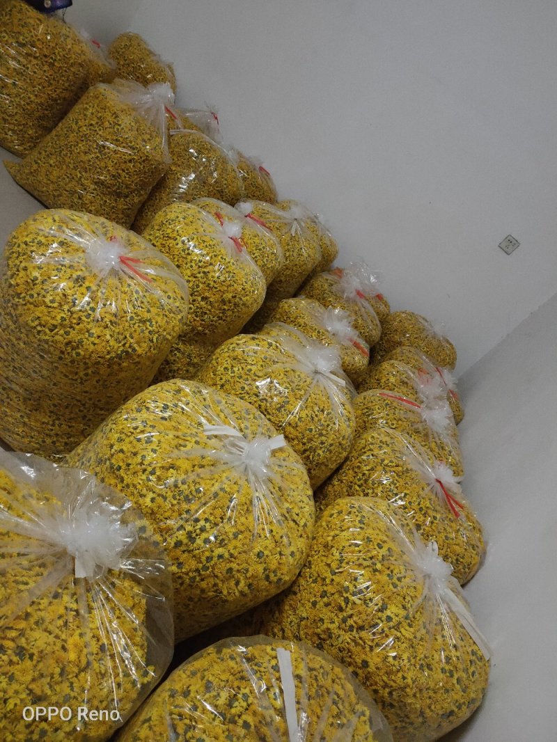 店长推荐精品婺源皇菊自产自销质量保证产地现货量大从优欢迎