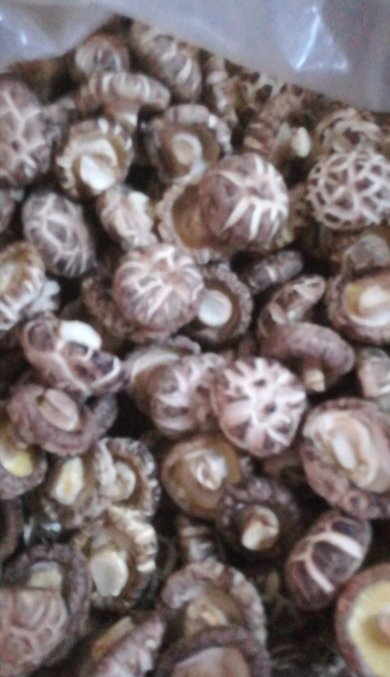 （优选）剪腿干香菇，茶花菇，随县知名特产