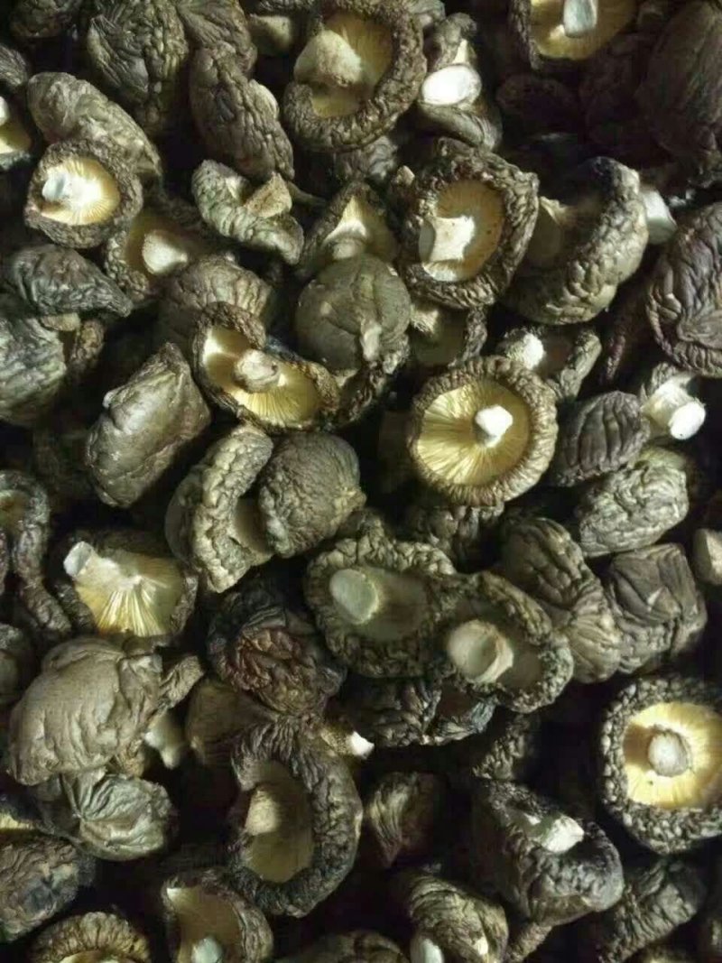 万顺农业精选光面菇，干香菇量大从优，规格2~3cm