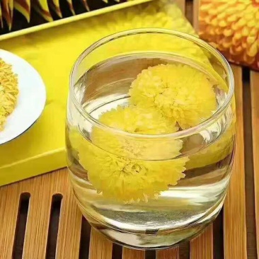 自家种的菊花，婺源皇菊，金丝皇菊