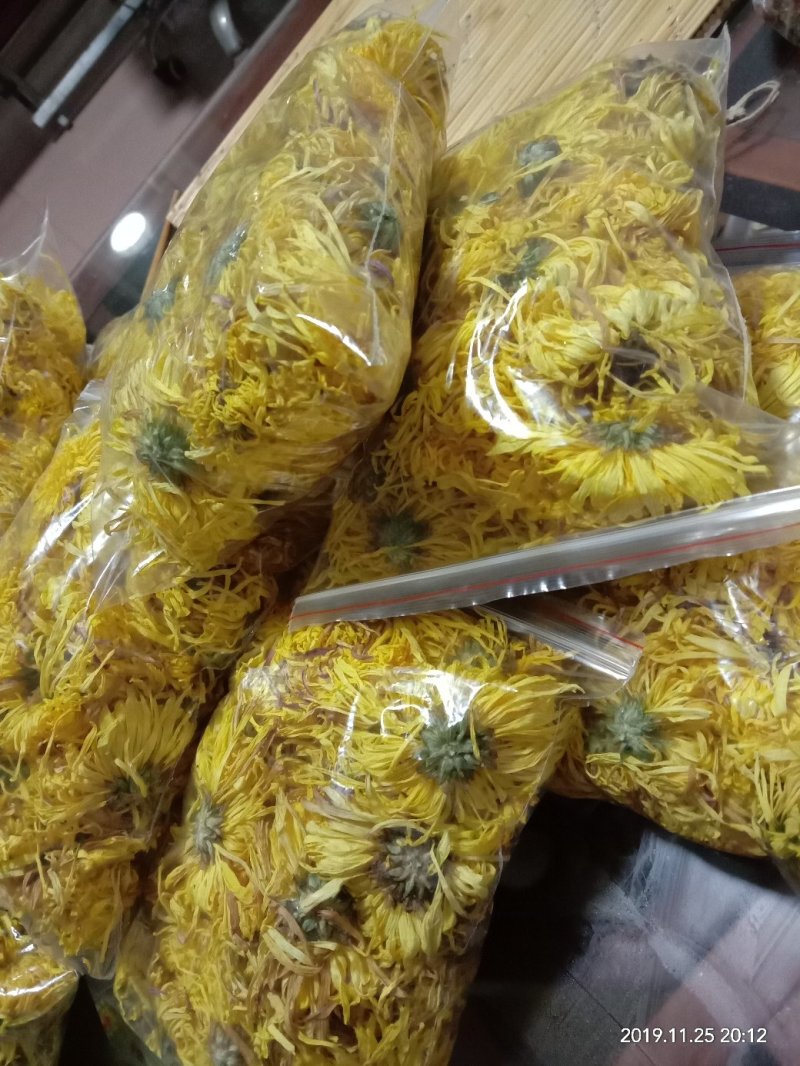 自家种的菊花，婺源皇菊，金丝皇菊