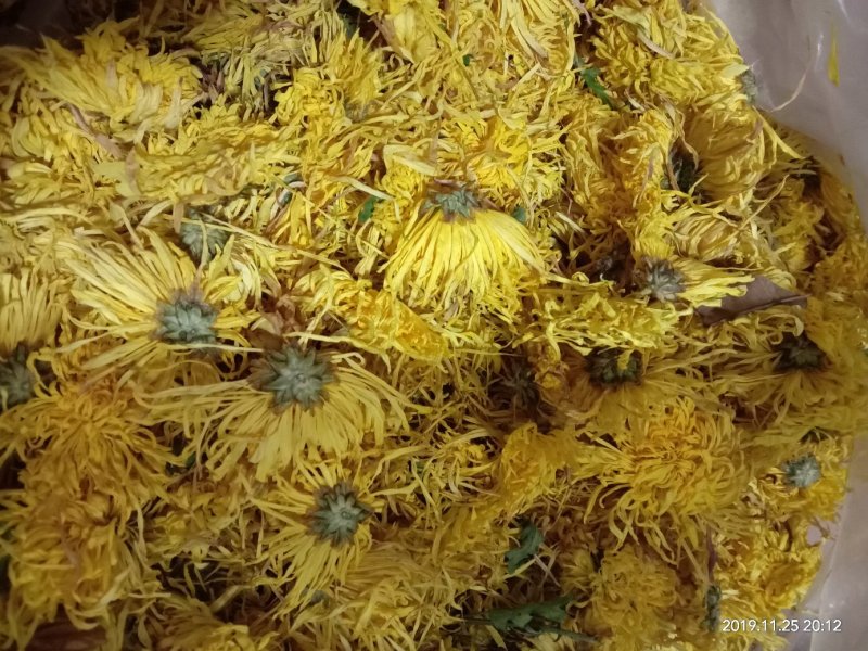 自家种的菊花，婺源皇菊，金丝皇菊
