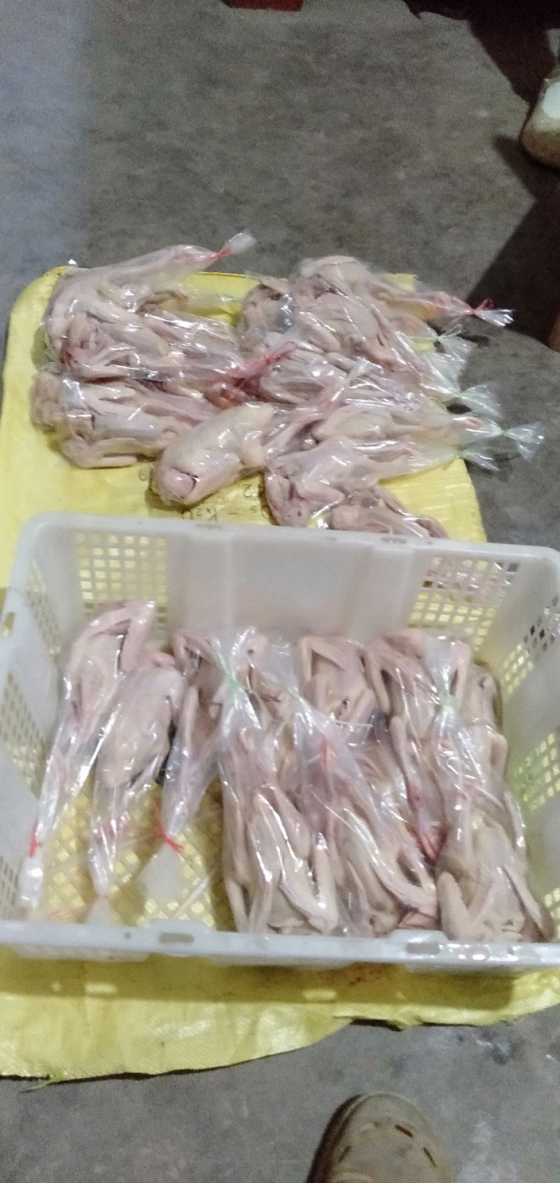 白条鸽，宰杀好的白条鸽，扒皮鸽子，新鲜现杀，货源充足稳定