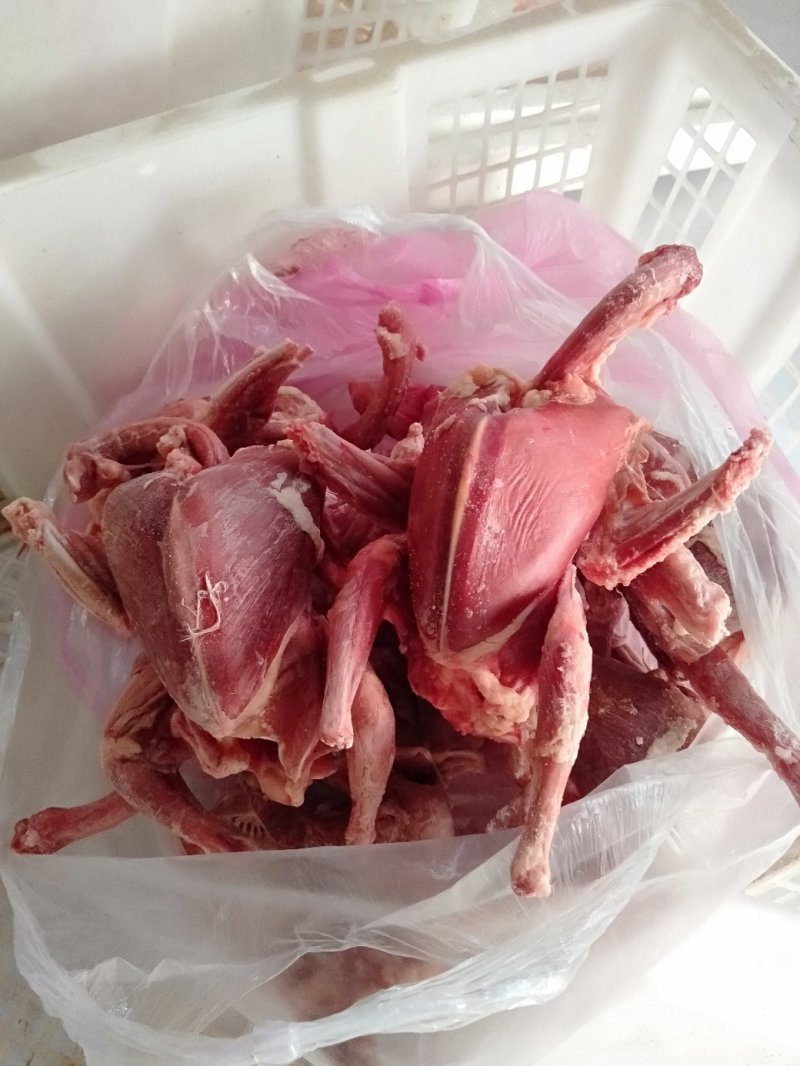 白条鸽，宰杀好的白条鸽，扒皮鸽子，新鲜现杀，货源充足稳定