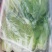小青菜，常年供应，质量保证