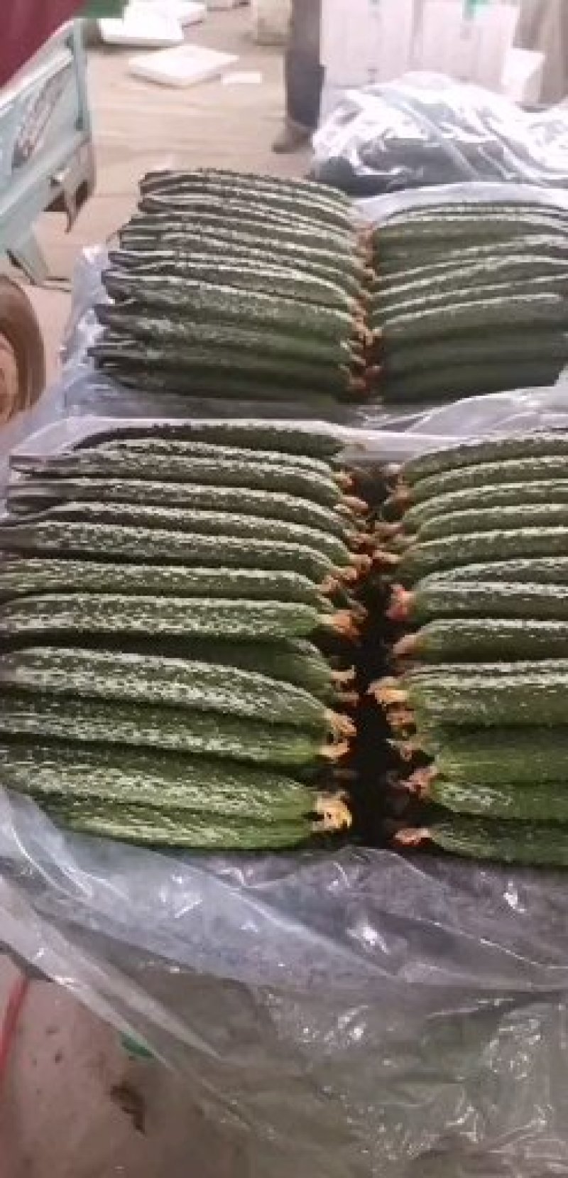 黄瓜18到22公分鲜花带刺山东潍坊蔬菜批发基地