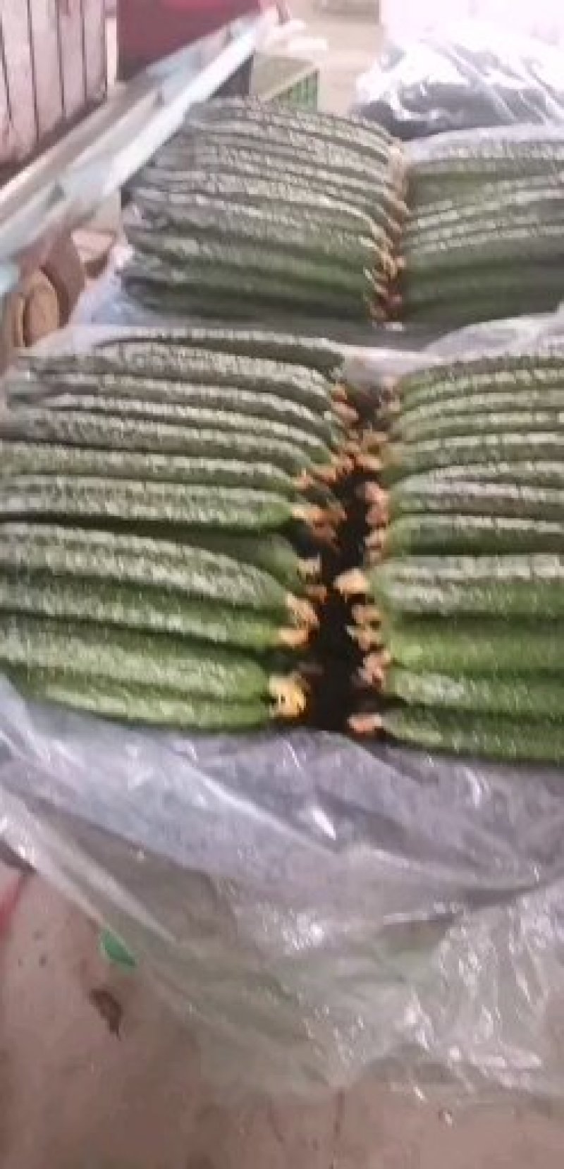 黄瓜18到22公分鲜花带刺山东潍坊蔬菜批发基地