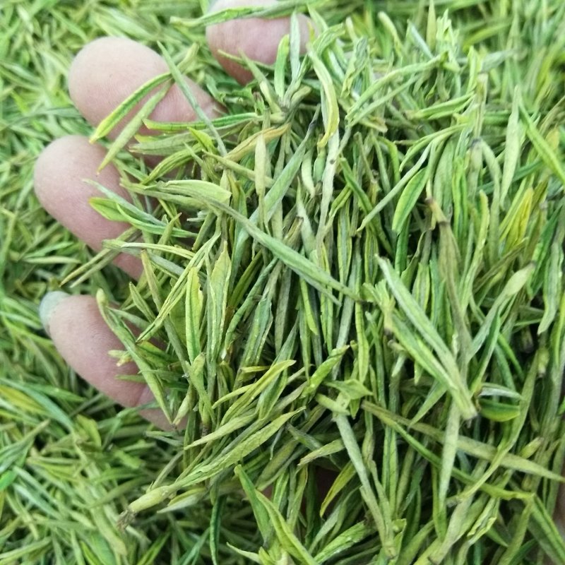 白茶