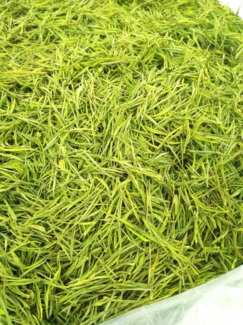 白茶