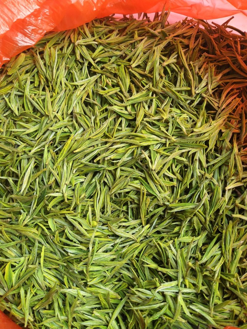 白茶