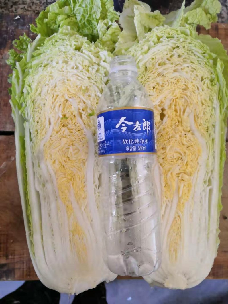白菜玉田货！在走货中！交通方便快捷！毛菜净菜均可
