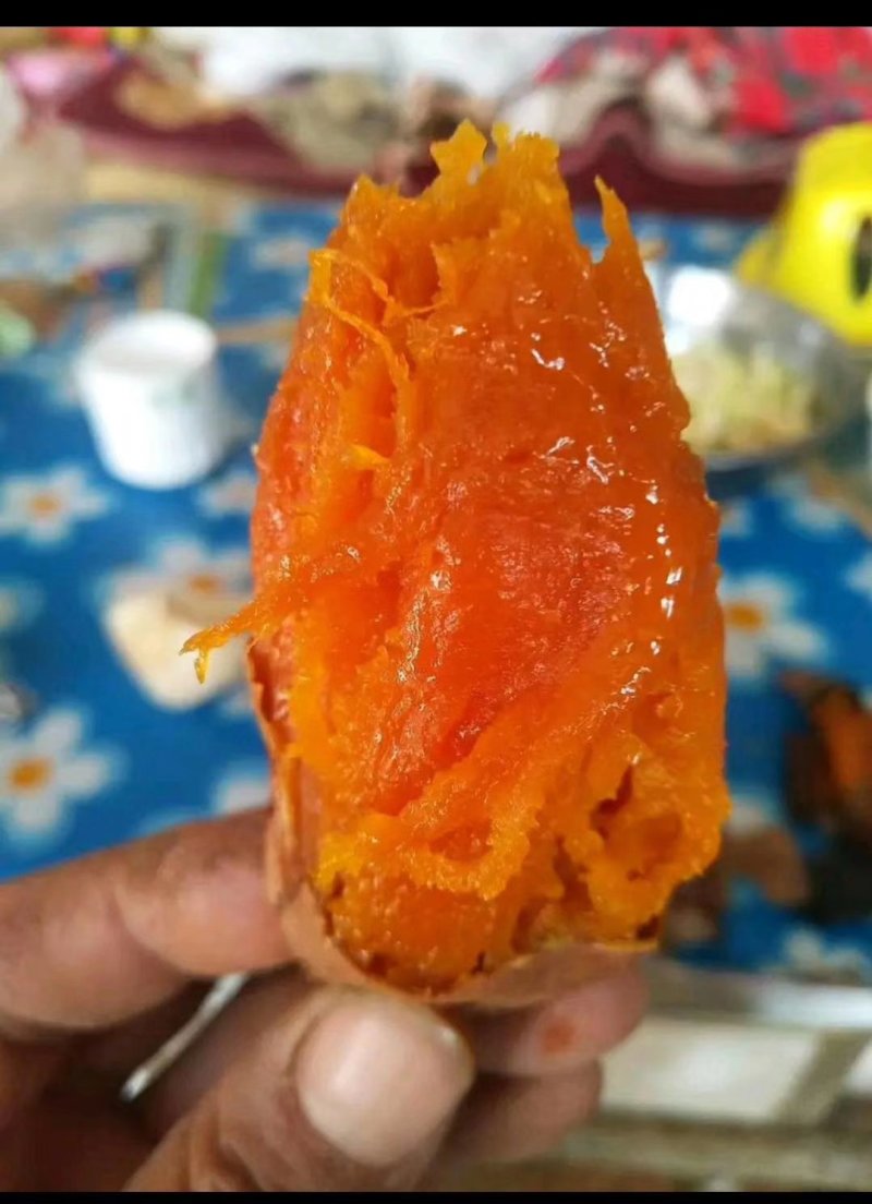 【优质】烟薯25条形好无虫眼黑斑口感好量大从优现挖现卖