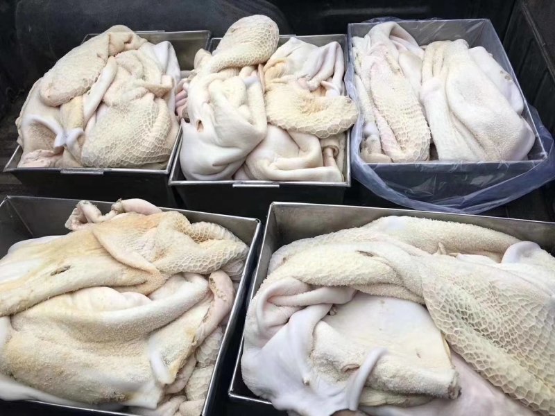 半成品牛肚