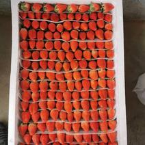 甜宝草莓，规格15-30