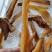 低价处理一批红薯干颜色稍微差点无添加