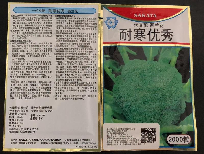手撕甘蓝品种————圣农508，颜色绿，口感翠，货真价实