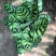 七彩孔雀竹芋盆栽四季常绿室内花卉植物基地直销孔雀竹芋
