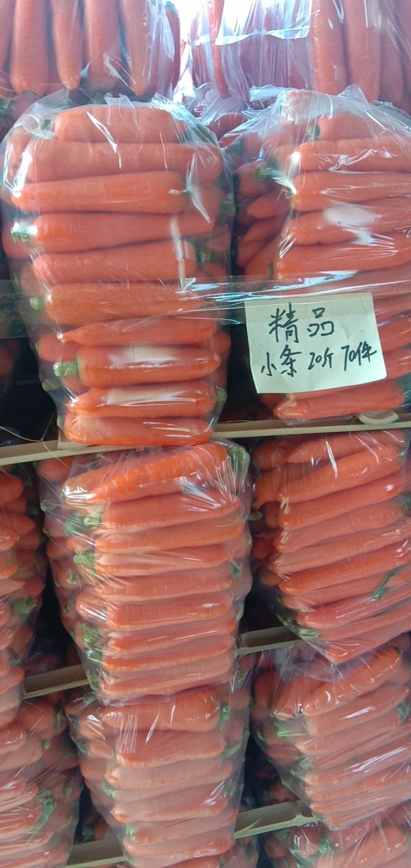 胡萝卜开封精品水洗胡萝卜大量供应中，提供各种包装