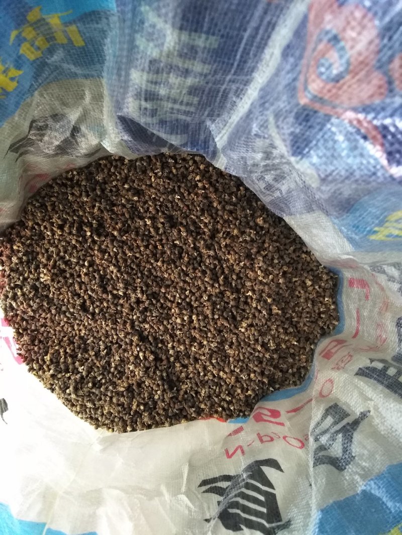 瑶山优质，黄花倒水莲种子，子粒包满，发芽率好！