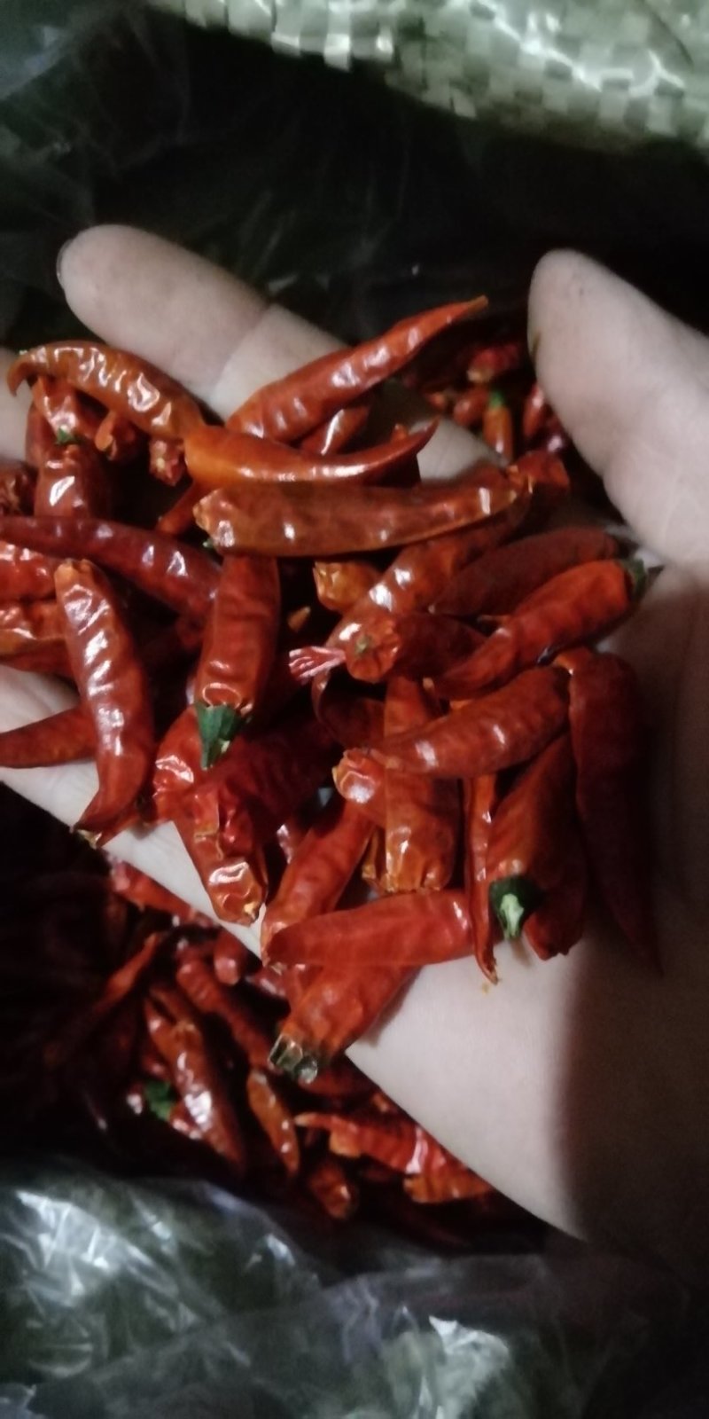 【有好货】高辣王，带把干辣椒，小米椒，野山椒干辣椒