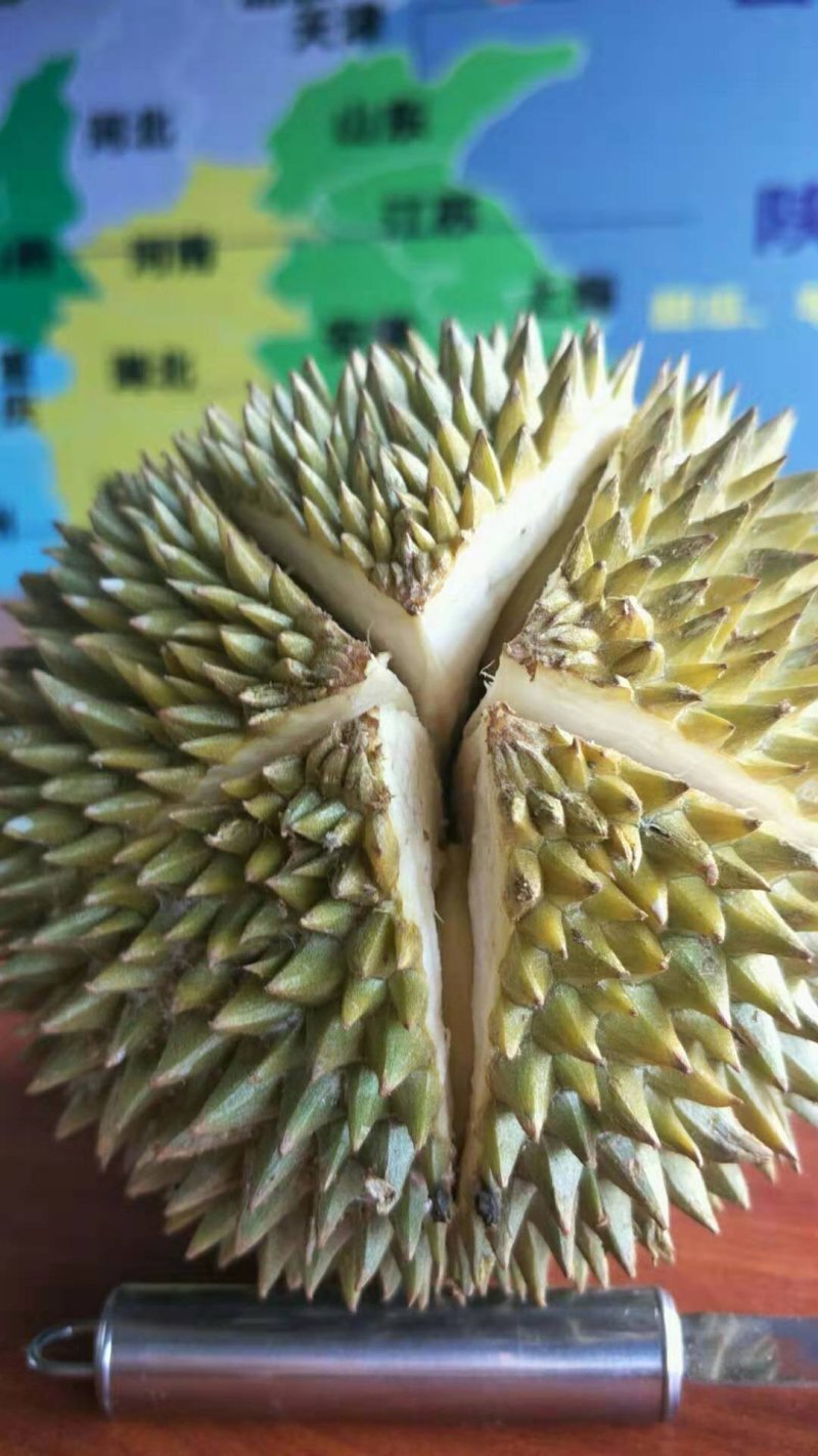 越南猫山王榴莲一件代发无痕发货