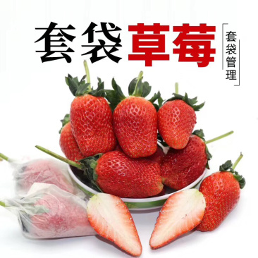 北纬37度，平度草莓，味甜，口感佳。