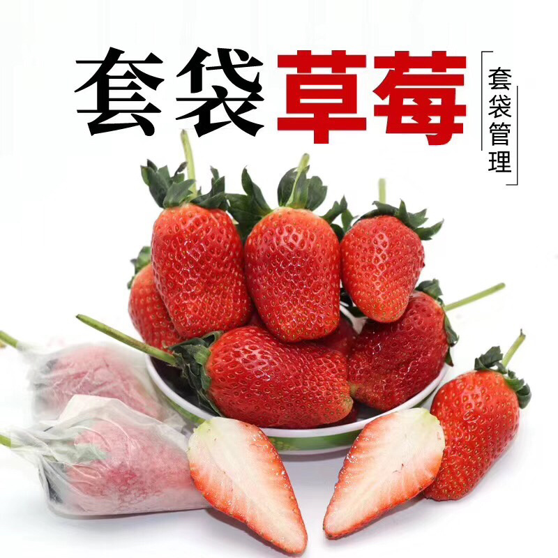 北纬37度，平度草莓，味甜，口感佳。
