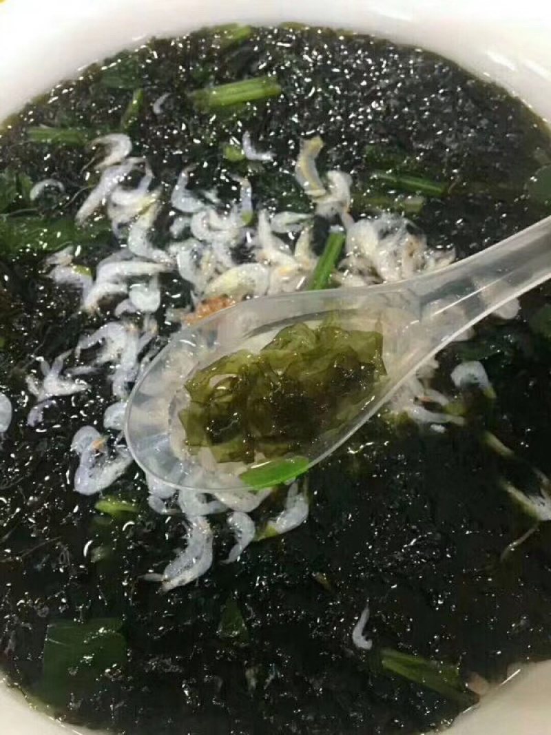 头水紫菜/紫菜/初水紫菜