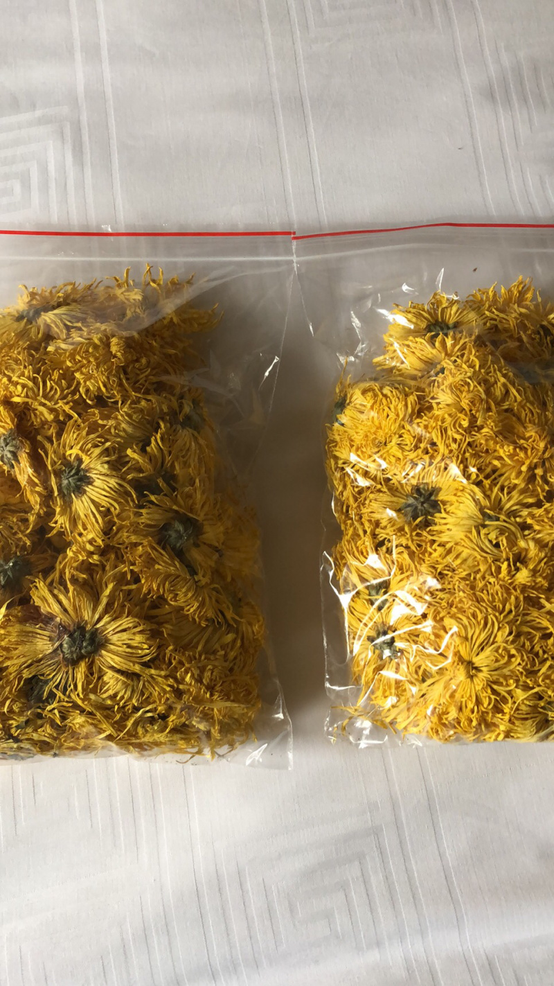 金丝皇菊