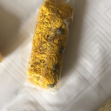 金丝皇菊