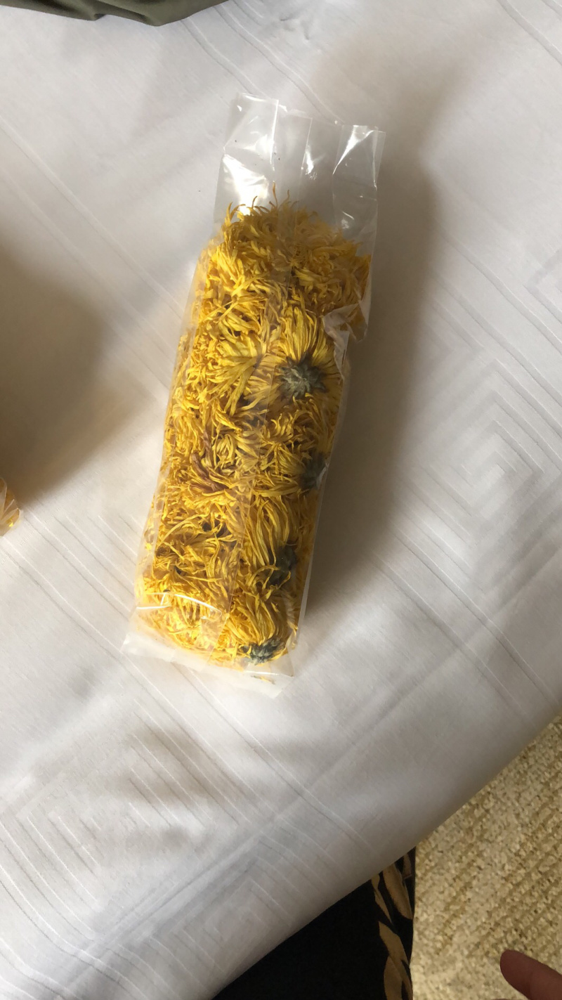 金丝皇菊