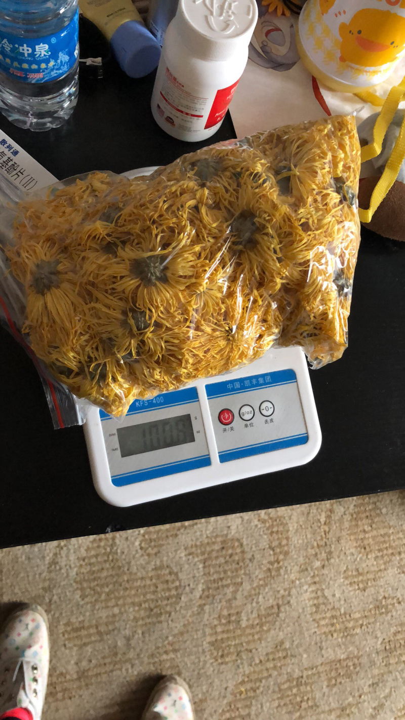 金丝皇菊