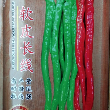 陶氏德丰1000粒软皮长线椒种子