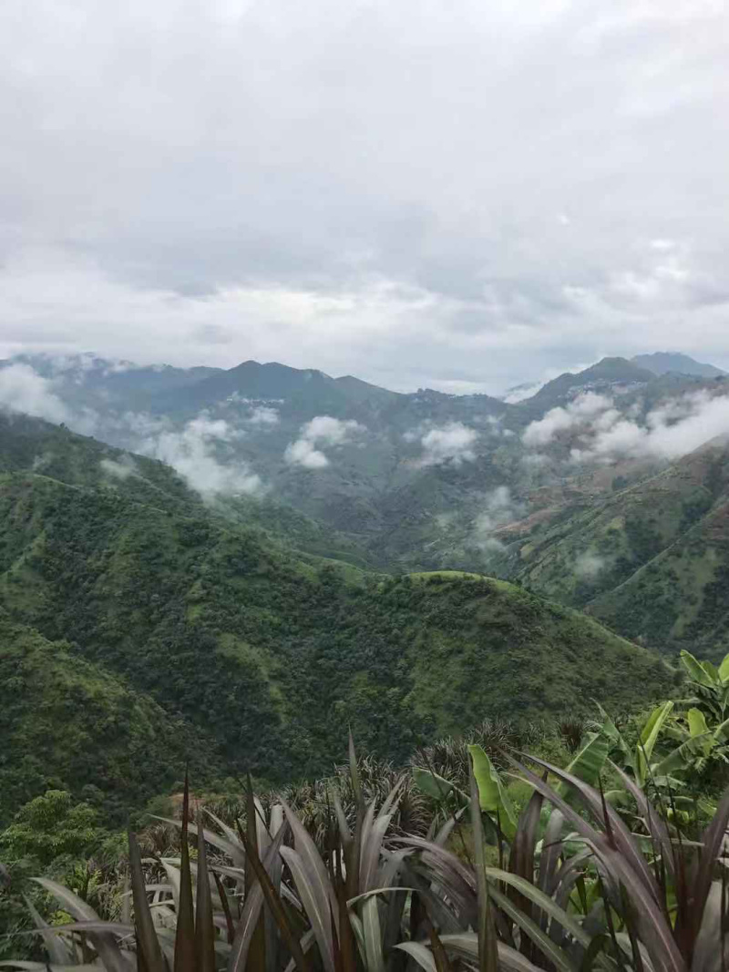 农场转让