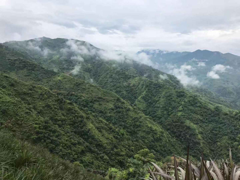 农场转让