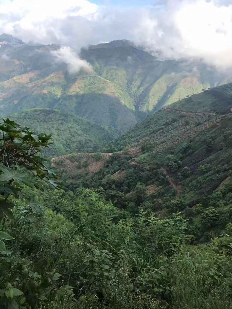 农场转让