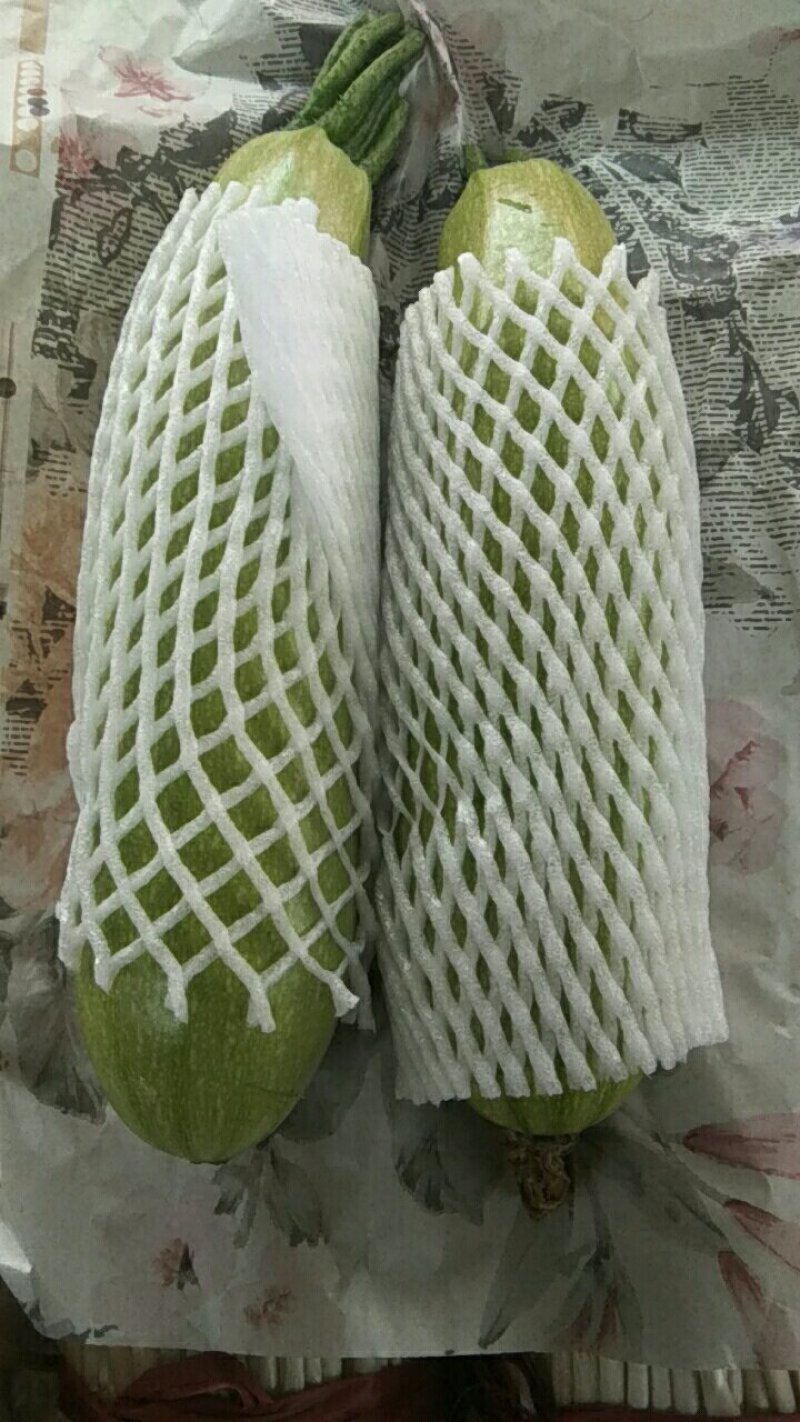 【荐】河北永年本地西葫芦绿皮西葫芦颜色绿质量好产地直发