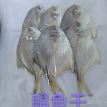 鲳鱼干