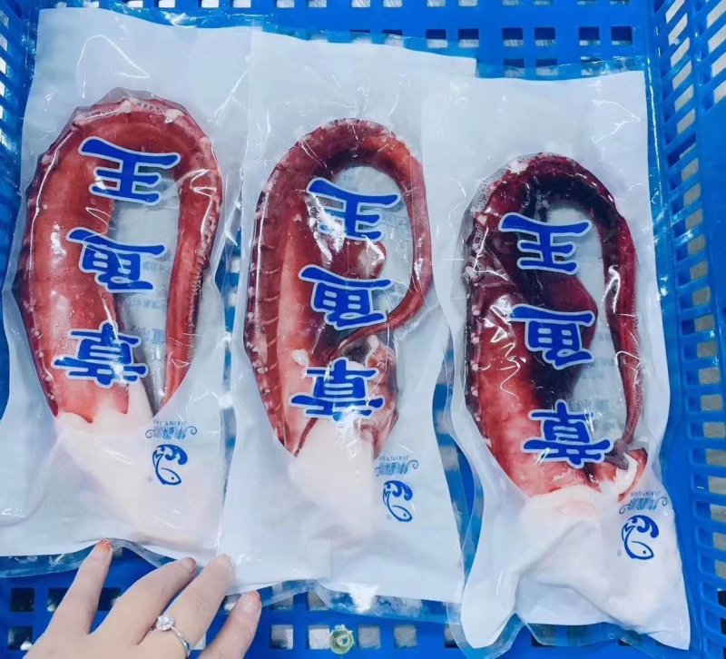 金枪鱼.白金枪鱼肉，香油鱼。规格全刺身级