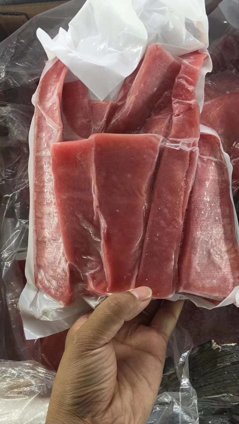 金枪鱼.白金枪鱼肉，香油鱼。规格全刺身级