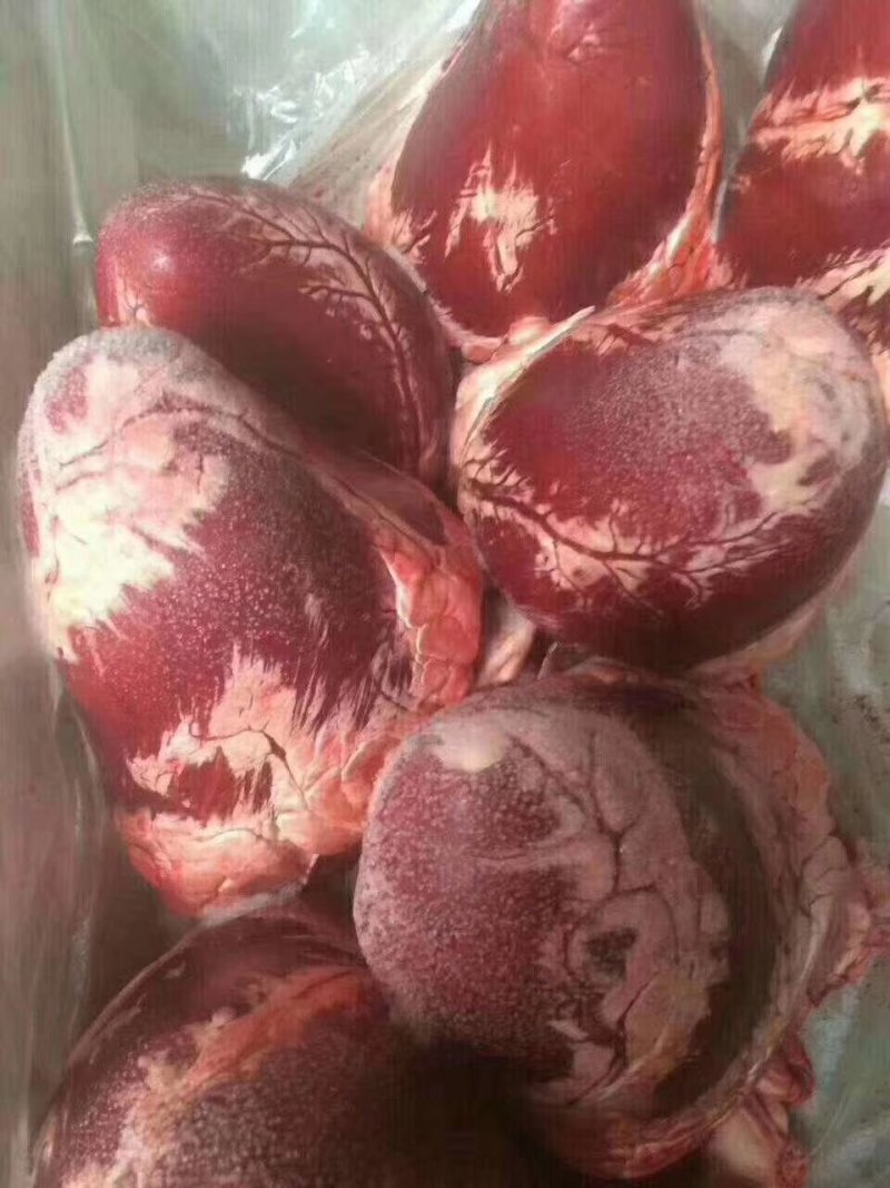 国产纯干牛心
