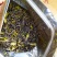 土山茶八仙茶高山八仙茶大坪土山茶惠来土山茶潮汕工夫茶