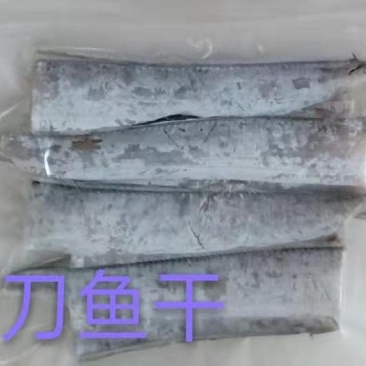 刀鱼干