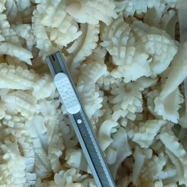 鱿鱼残花真鱿原料质量超好