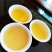 土山茶潮汕八仙茶惠来雪茶土山茶心八仙茶高山土山茶1斤