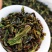 土山茶潮汕八仙茶惠来雪茶土山茶心八仙茶高山土山茶1斤