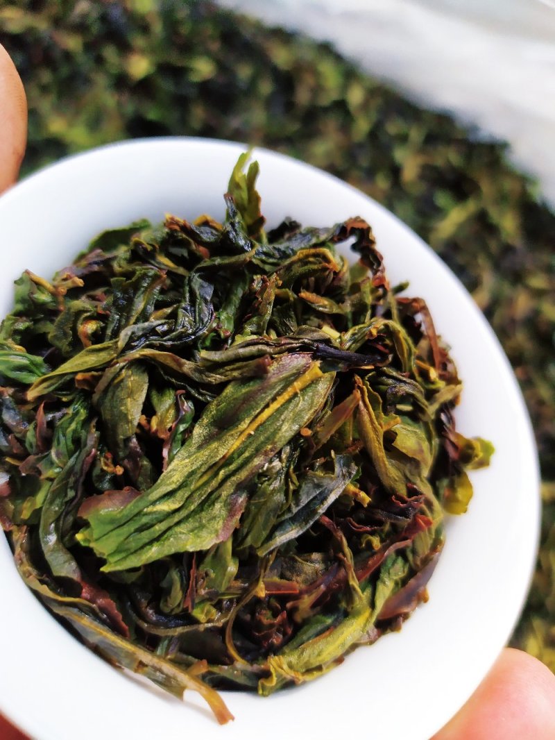 土山茶潮汕八仙茶惠来雪茶土山茶心八仙茶高山土山茶1斤
