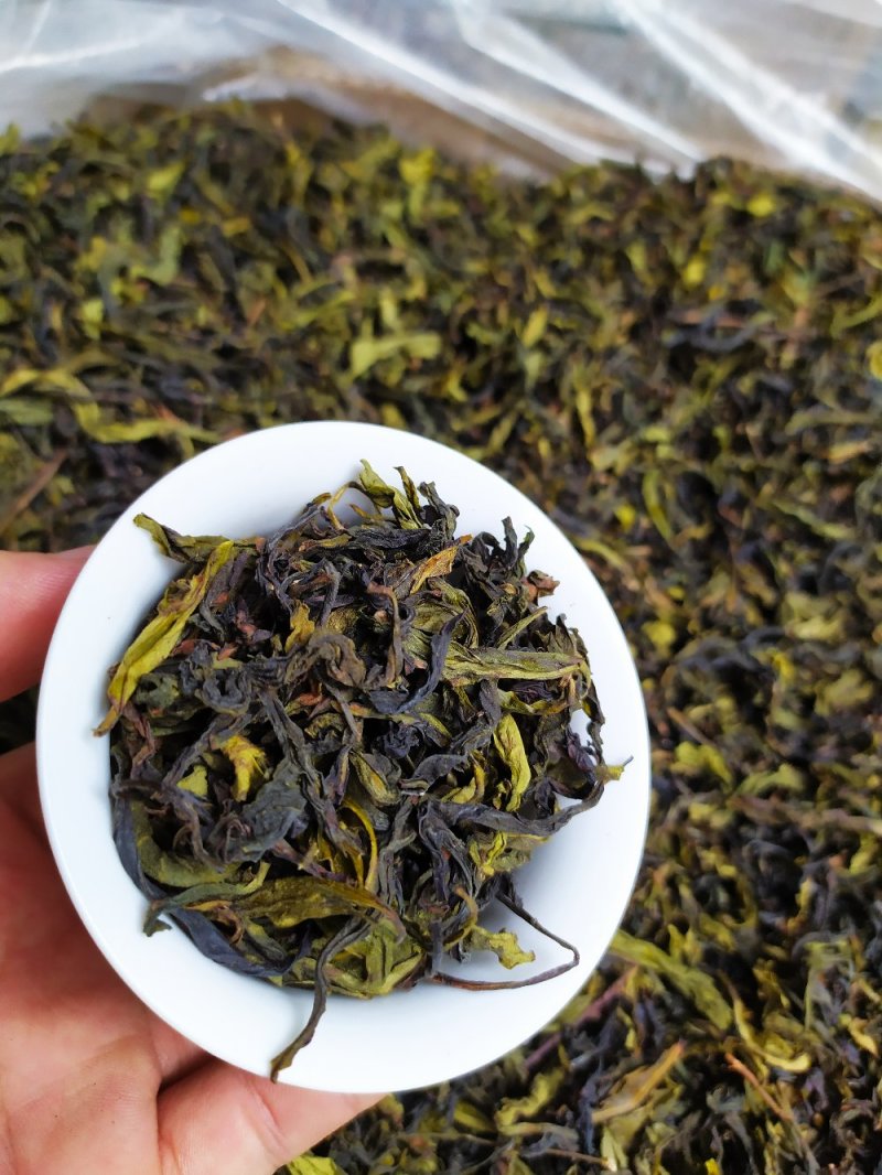 土山茶潮汕八仙茶惠来雪茶土山茶心八仙茶高山土山茶1斤